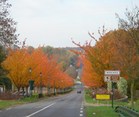 Marines in Autumn